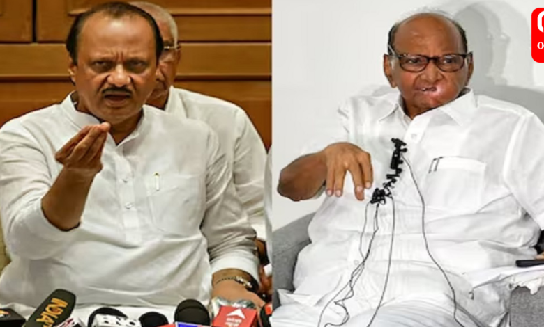 Ajit and 9 Other Rebel NCP MLAs