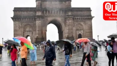 IMD Issues Red Alert for Mumbai Schools, Colleges Shut