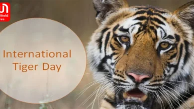 International Tiger Day 2023 Must visit Tiger Reserves in India