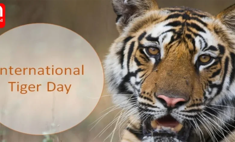 International Tiger Day 2023 Must visit Tiger Reserves in India
