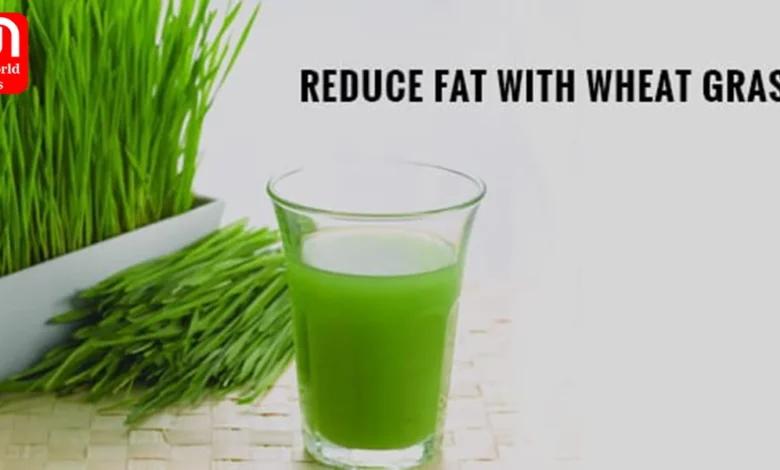 Liver detox to managing diabetes; many benefits of wheatgrass juice