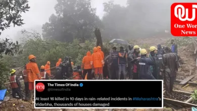 Maharashtra 16 Dead in Vidarbha in 10-day Rain Toll