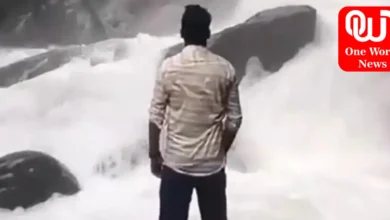 Man Falls In Karnataka Waterfall While Posing For Instagram Reel