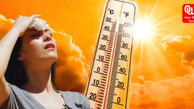 Heatwaves Scorch The Globe