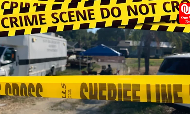 One year old baby was killed by her 3 year old brother with a gun, available in the house