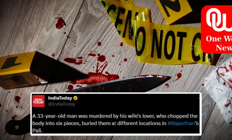 Rajasthan Murder Case Man Chopped into 6 Pieces by Wife's Lover