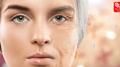 Reverse Aging Is Possible, Says Harvard Scientist