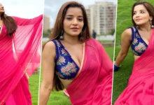 SEXY video Monalisa's red HOT in Pink Saree