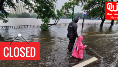 Schools closed in three Maharashtra districts, Heavy rain alert in Mumbai