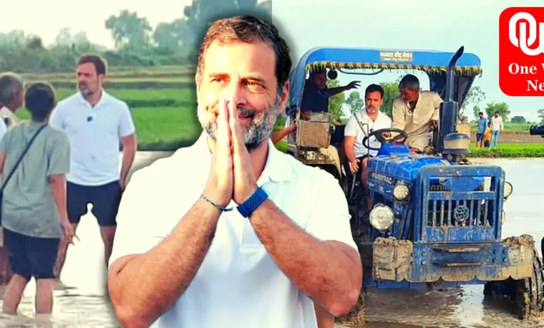 Sonipat rahul Gandhi