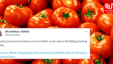 Tomato Prices Drop Sale Begins