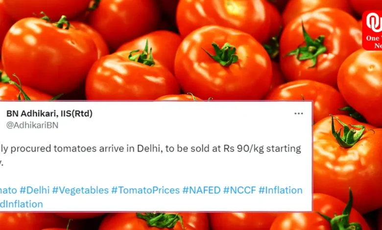 Tomato Prices Drop Sale Begins