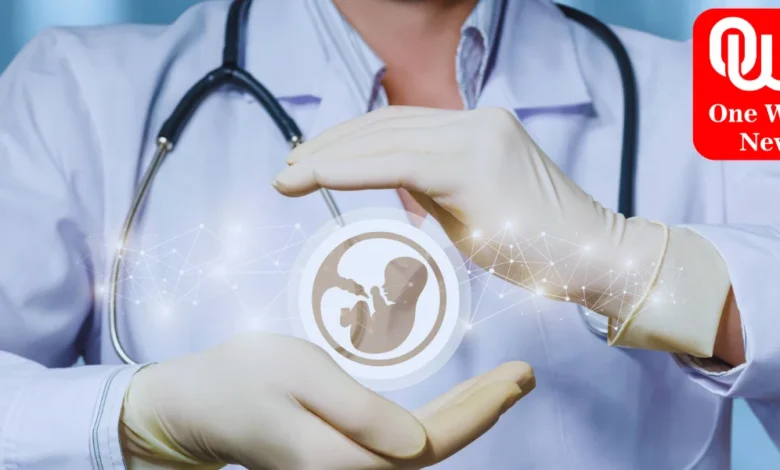 World Embryologist Day