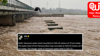 Yamuna Continues To Flow Over Danger Mark At 206.56 Metres