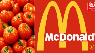 McDonald's Burger