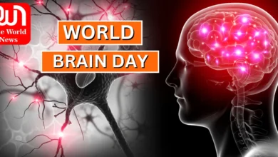 world brain day