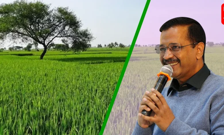 Delhi government approves proposal to hike circle rates of agricultural land