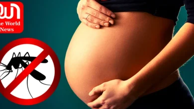 Dengue During Pregnancy