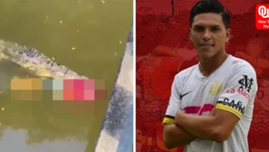 Footballer, 29, killed by crocodile while cooling off in river