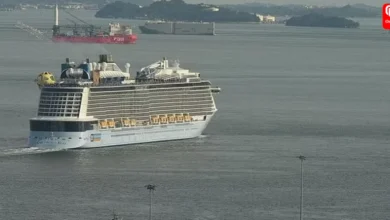 Indian Woman, 64, Dies After Jumping From Singapore Cruise