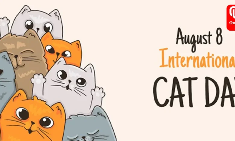 International Cat Day