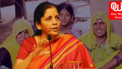 Nirmala Sitharaman Birthday