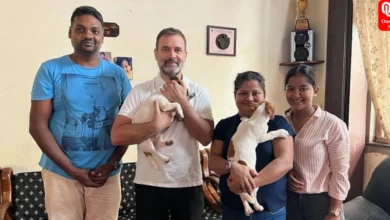 Rahul Gandhi on private visit to Goa, comes home with a puppy