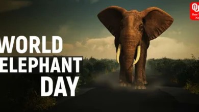 World elephant day 2023