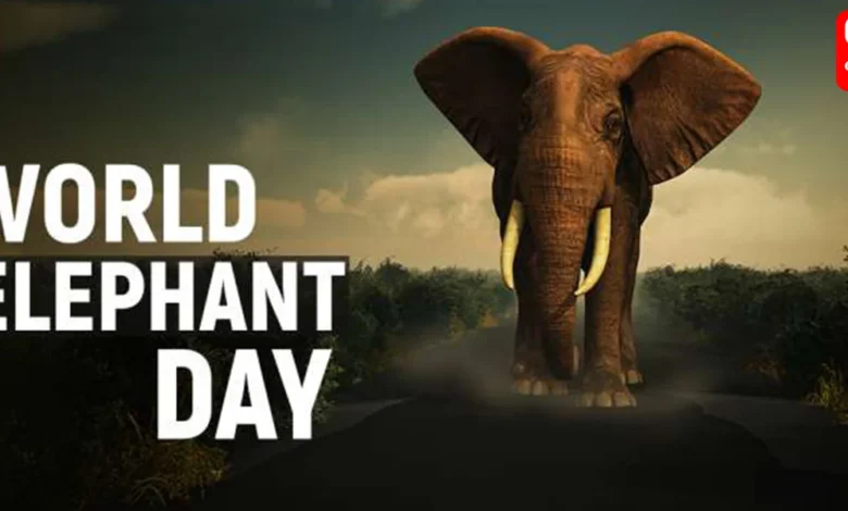 World elephant day 2023
