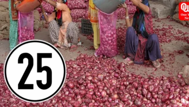 onions to be made available at rs 25 as buffer stock burgeons (1)