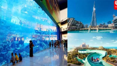 Best Things to Do in Dubai For Fun