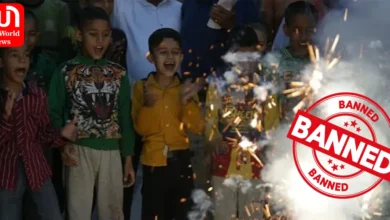 Delhi government bans burning, selling of firecrackers this Diwali