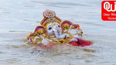 Ganesh Visarjan