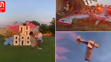 Gender Reveal Plane Crash Viral Video Shows Deadly Nosedive That Killed Pilot