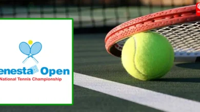 Fenesta open