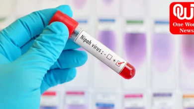 Nipah Virus in kerala