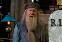 Rip dumbledore