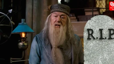 Rip dumbledore
