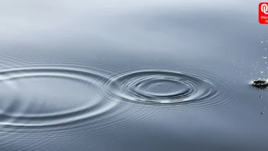 The Ripple Effect