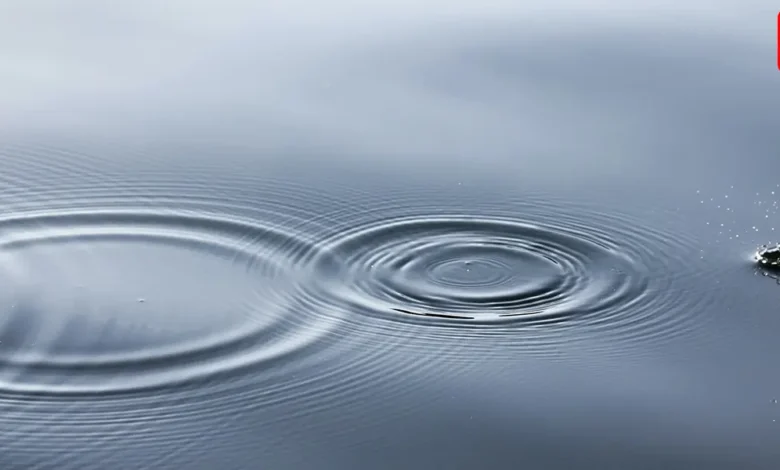 The Ripple Effect