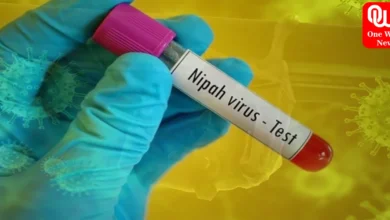nipah virus outbreak watch out for these 3 risk