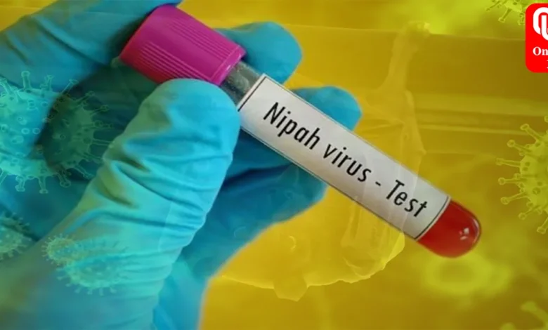 nipah virus outbreak watch out for these 3 risk