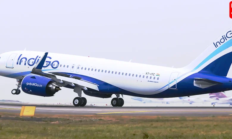 IndiGo