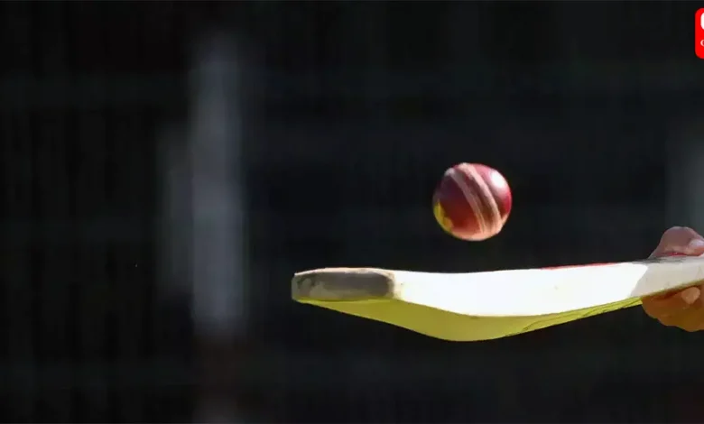 Career in Cricket