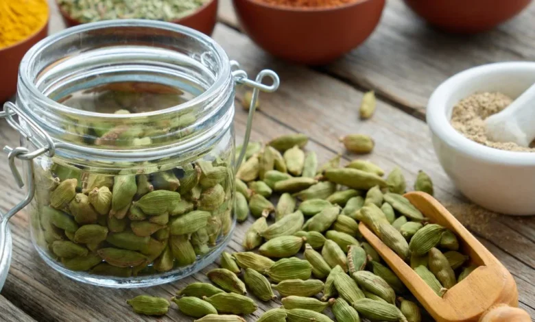 5 Amazing Benefits Of Cardamom That Make It A Delight For Your Recipes