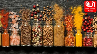 Kitchen Spices