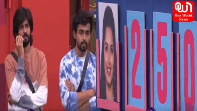 Bigg Boss Telugu 7 Update Priyanka's gratitude towards Gautham upsets Amardeep