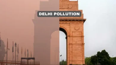 Delhi Pollution