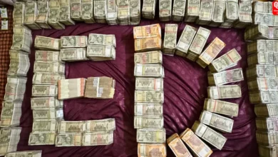 Mahadev Betting App Case