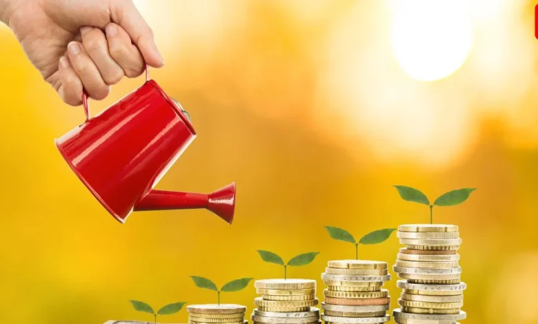 Advantages Of Money Plant